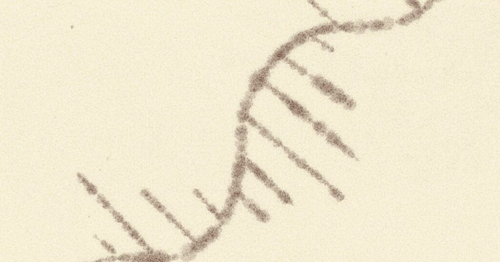 Opinion | The Lengthy-Ignored Molecule That Will Outline a Technology of Science Opinion | The Lengthy-Ignored Molecule That Will Outline a Technology of Science