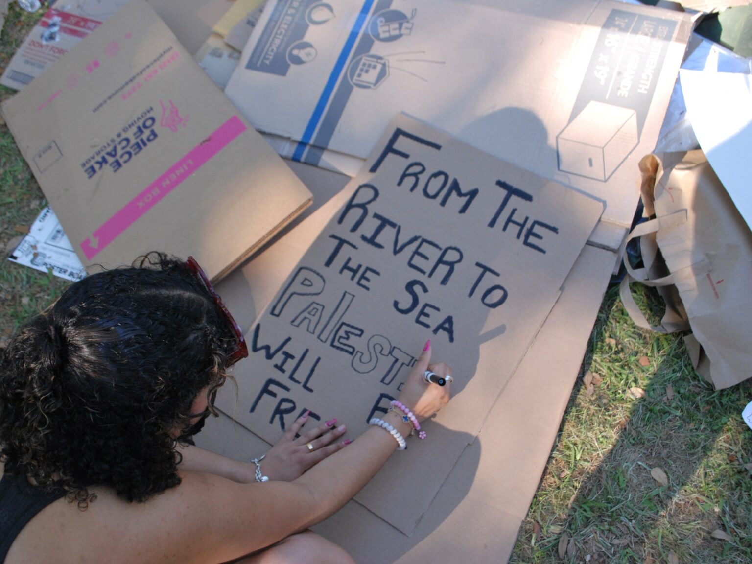 Within the US South, pro-Palestinians face crackdown on campus and in streets | Israel Warfare on Gaza Information