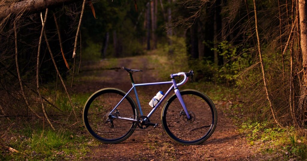 Your Bike Tires Are Too Skinny. Driving on Fats, Supple Tires Is Simply Higher