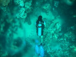 The Greatest Cities in Egypt For Scuba Diving