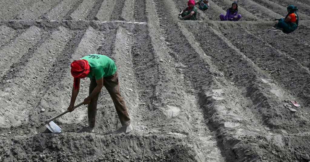 India’s Subsequent Authorities Will Face Critical Local weather Challenges
