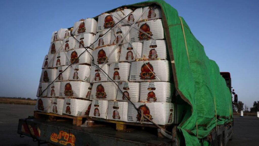 Meals piles up at Gaza crossing as assist companies say unable to work