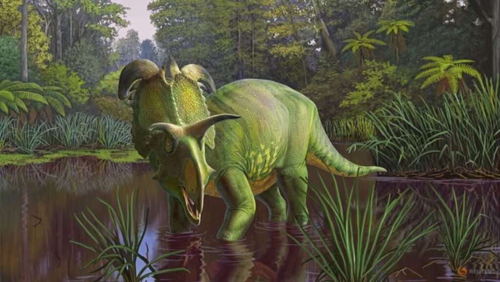 Dinosaur from Montana had horns like Norse god Loki’s blades