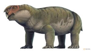 Historical pig-like animal exhibits beginnings of mammalian mind evolution