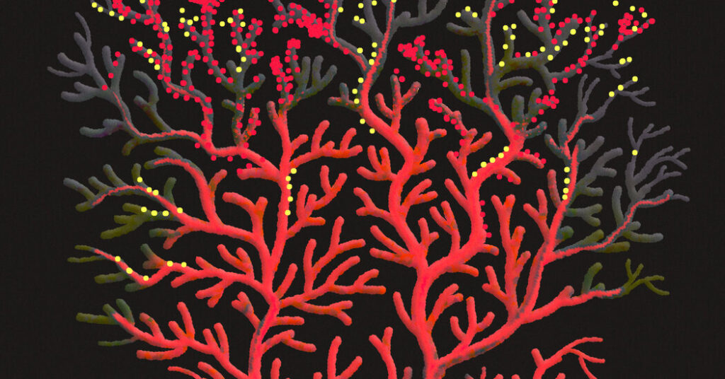 Opinion | International Warming is Having a Large Impact on Our Oceans