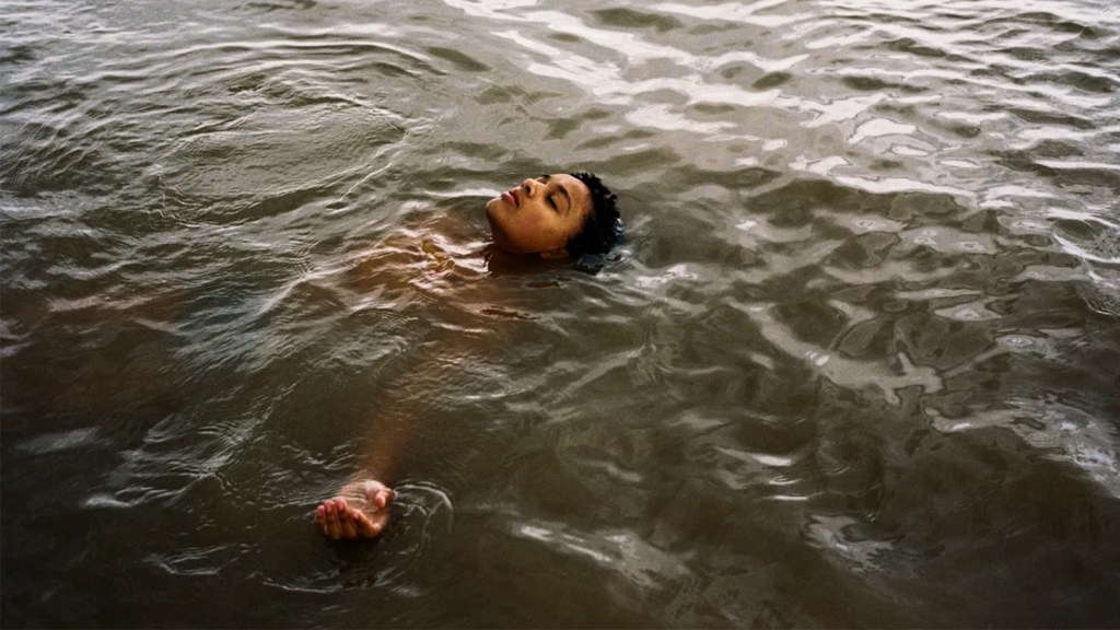 Andrea Arnold’s ‘Hen’ Locks Worldwide Offers For Cornerstone Andrea Arnold’s ‘Hen’ Locks Worldwide Offers For Cornerstone