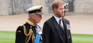 Prince Harry Reportedly Hopes To Repair His Picture In The U.Okay.