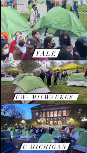 Professional-Palestinian Protests Permitted In Blue States Professional-Palestinian Protests Permitted In Blue States