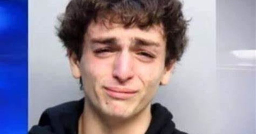 Grownup Son of Israeli Diplomat Who Ran Over Florida Police Officer Will get No Jail Time, Strikes to Israel | The Gateway Pundit