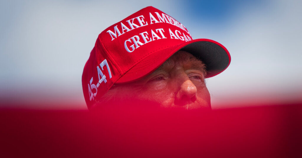 Opinion | Trump Has a Bizarre Method of Profitable