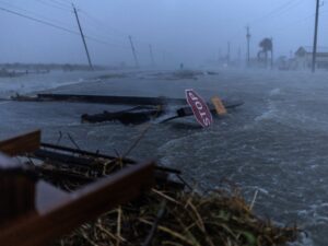 Texas power corporations assess injury after Hurricane Beryl batters Gulf Coast | Enterprise and Economic system Information
