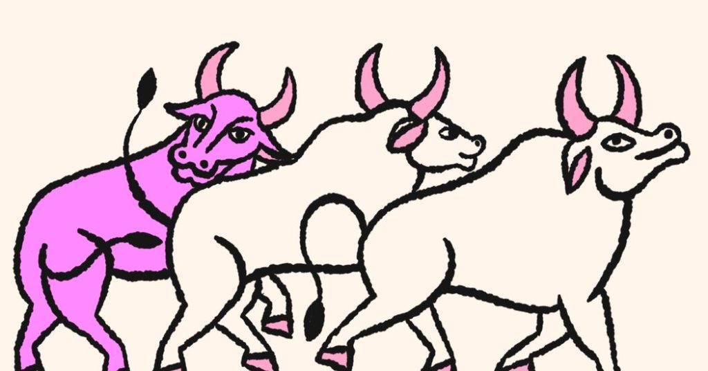 Opinion | In Training and Media, Markets Aren’t At all times Proper