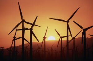 Sweltering Palm Springs Hits All-Time Excessive Of 124 Levels