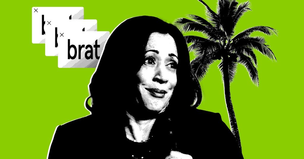 Joe Biden Misplaced the Web. Kamala Harris Is Attempting to Win It Again