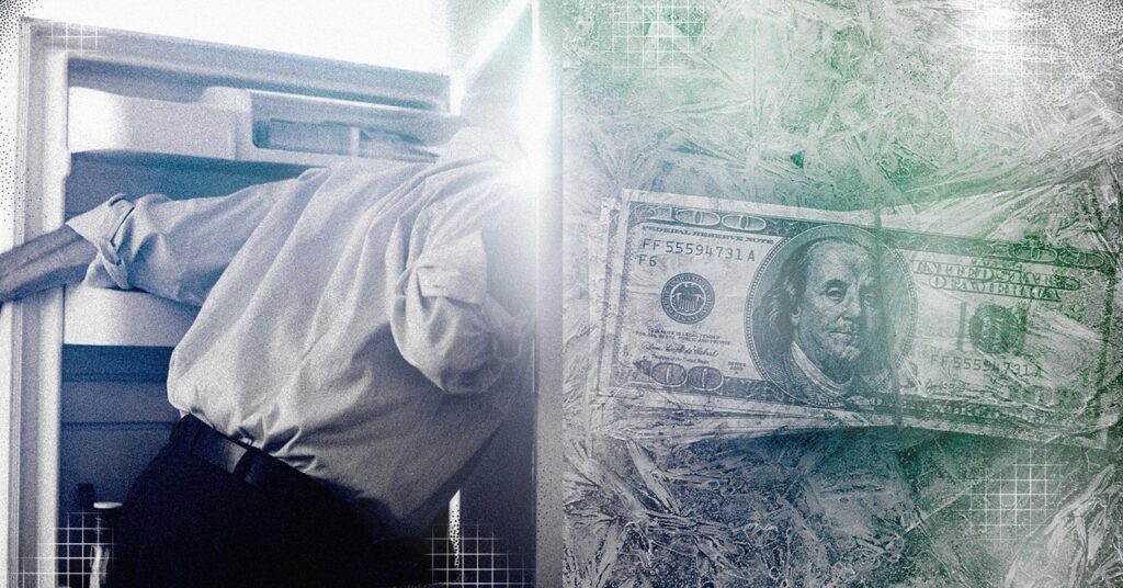 Get Wealthy From Peeping Inside Individuals’s Fridges