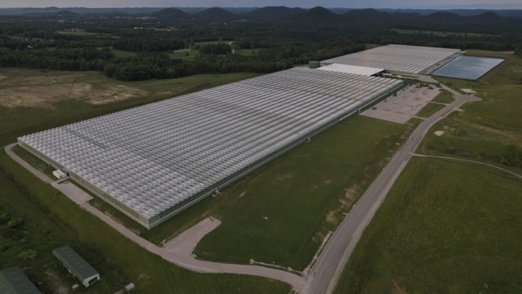 The “greenhouse impact”: How an oft-touted local weather answer threatens US agricultural employees
