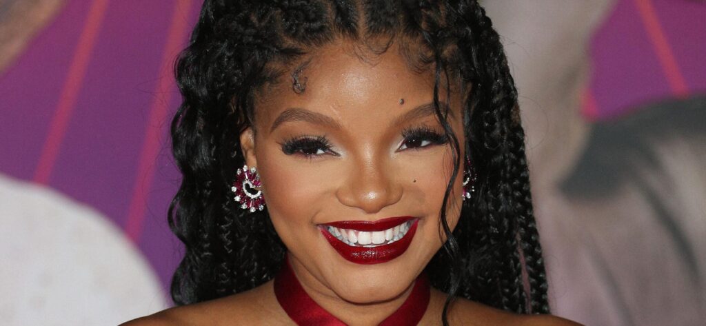 Why Halle Bailey’s Son Hasn’t Skilled The Disney Parks But Why Halle Bailey’s Son Hasn’t Skilled The Disney Parks But