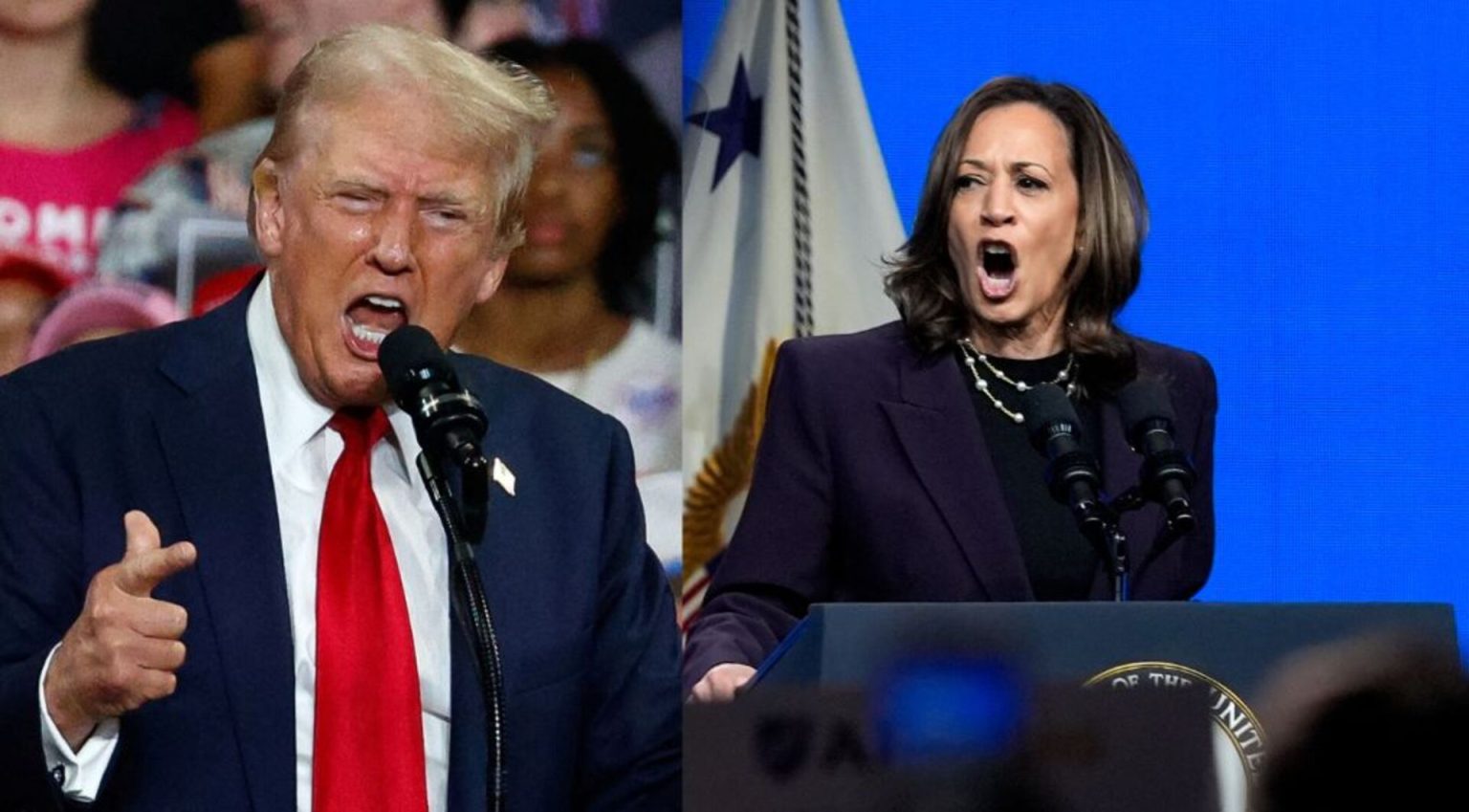 What points do Trump and Harris need to struggle the election on? | Politics What points do Trump and Harris need to struggle the election on? | Politics