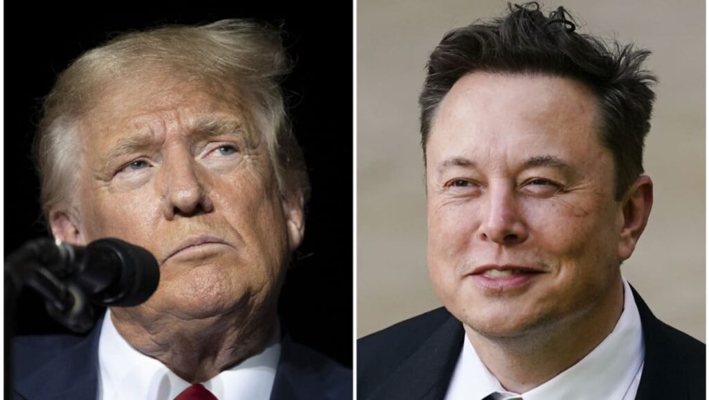Musk donates to group working to elect Trump: Report