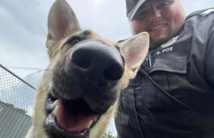 Indiana Cop Adopts German Shepherd He Rescued From Scorching Automobile After It Honked Automobile Horn to Save Its Life | The Gateway Pundit