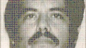 US says El Chapo son surrendered however El Mayo taken towards will from Mexico | Medicine Information