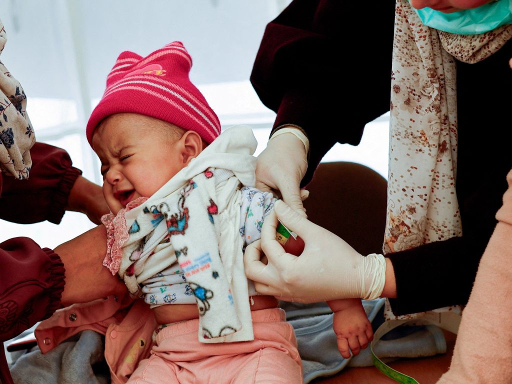 Absence of ceasefire hurting struggle towards polio in Gaza, WHO says | Israel-Palestine battle Information