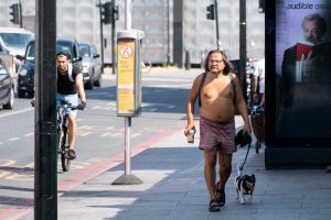 When is it too scorching to stroll your canine? Mini-heatwave continues in London