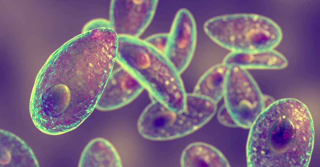 How Do You Get Medicine to the Mind? Perhaps Attempt a Parasite How Do You Get Medicine to the Mind? Perhaps Attempt a Parasite