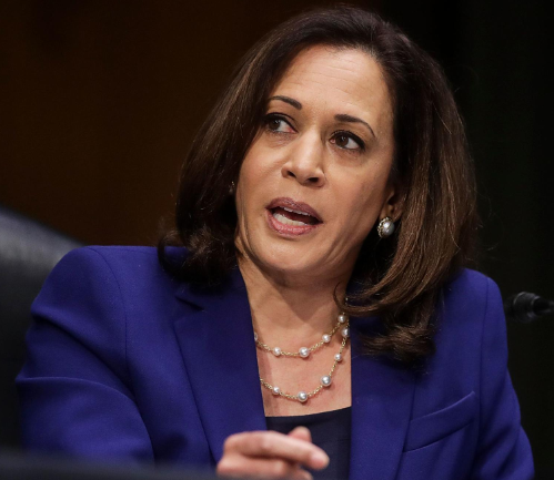 Kamala’s Financial Plan Will Destroy The US Financial system & Lead To Meals Shortages Kamala’s Financial Plan Will Destroy The US Financial system & Lead To Meals Shortages