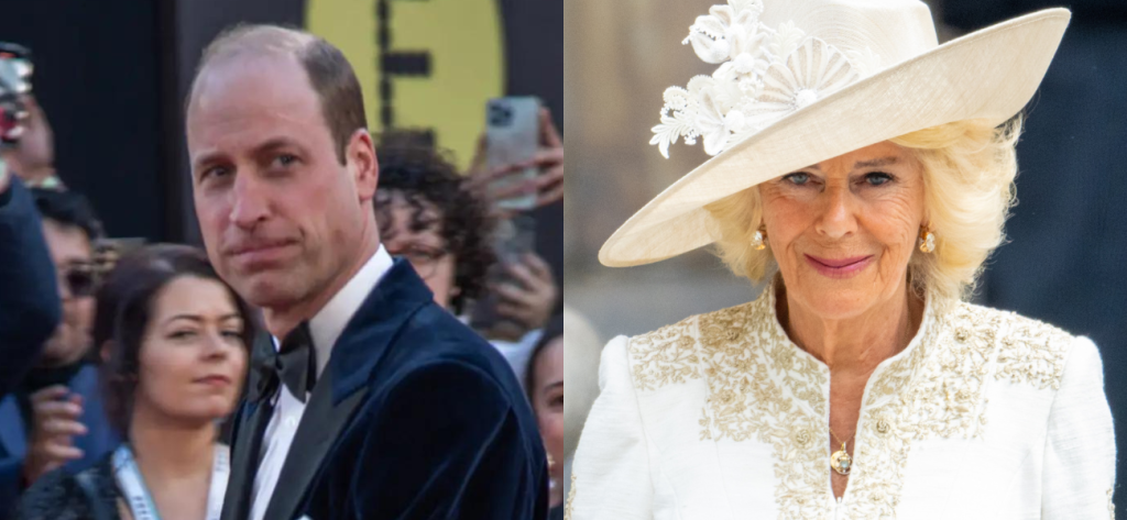Why Prince William ‘Could not Stand’ His Stepmom Queen Camilla Why Prince William ‘Could not Stand’ His Stepmom Queen Camilla