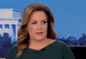 Mollie Hemingway: Media is Gaslighting the Nation With Kamala Harris Simply Like They Did With Biden (VIDEO) | The Gateway Pundit