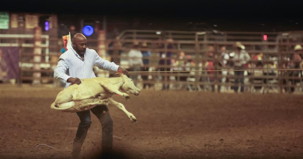 All rodeos are merciless to animals. There no excuse for permitting them