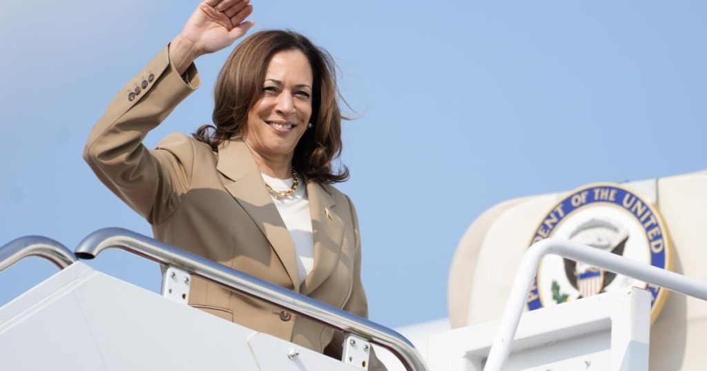 Ridiculous argument that Kamala Harris would not have sufficient expertise