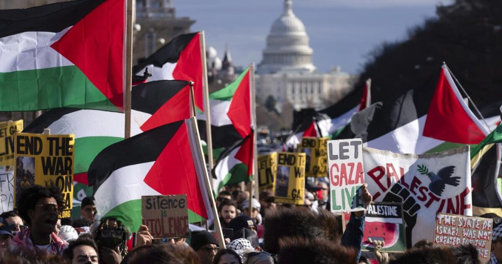 Why are Democrats afraid of pro-Palestinian protesters?