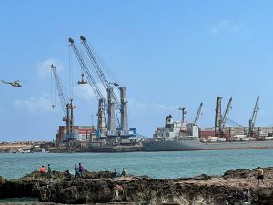 Egypt delivers extra weapons to Somalia amid rising tensions with Ethiopia | Politics Information