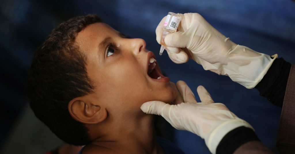 Why Polio Has Reemerged in Gaza Why Polio Has Reemerged in Gaza
