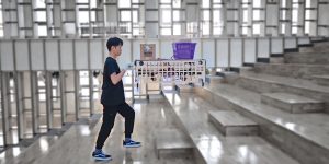 Palletrone: The Flying Cart for Aerial Cargo Transportation