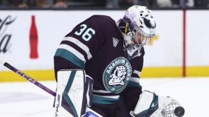 Geese’ Gibson to overlook begin of season after appendectomy surgical procedure