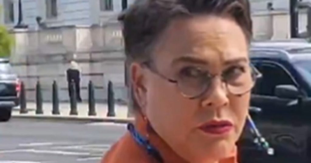 LIKE A BOSS: Conservative Republican Rep. Harriet Hageman Expertly Trolls Code Pinko Protesters in DC (VIDEO) | The Gateway Pundit
