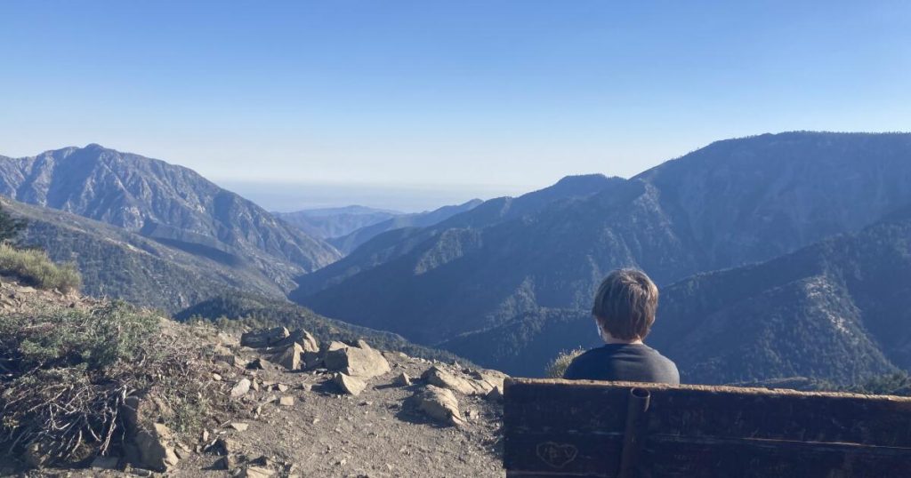 Shut entry to Southern California forests to forestall extra fires