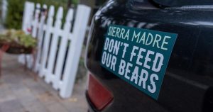 Do not blame Sierra Madre’s human residents for his or her bear drawback