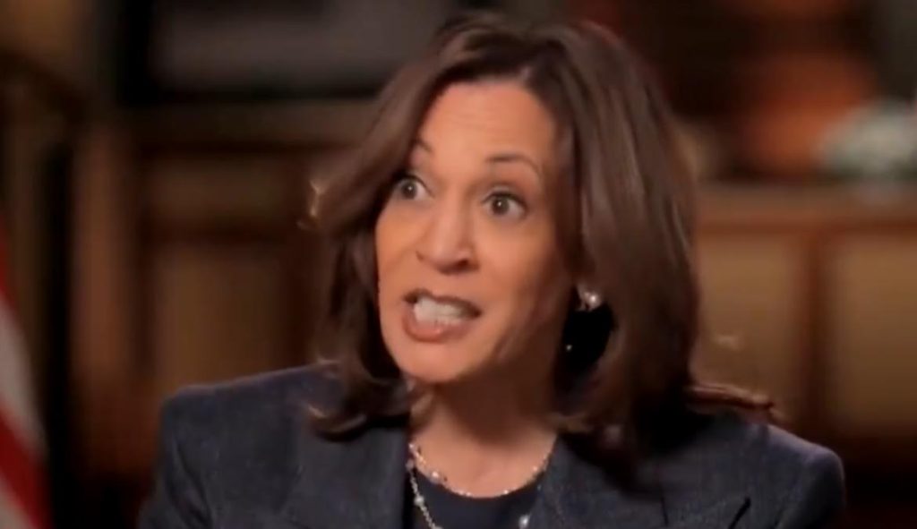 Kamala Harris Loudly Booed For Snubbing Al Smith Memorial Basis Dinner (VIDEO) | The Gateway Pundit