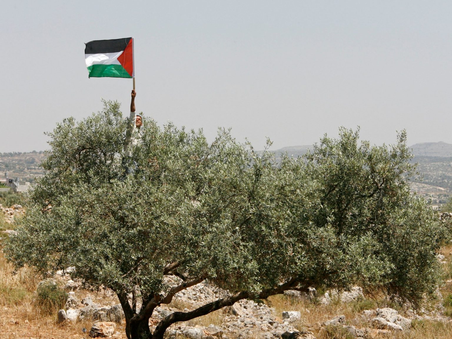 Why Palestinians received’t depart their land | Opinions Why Palestinians received’t depart their land | Opinions