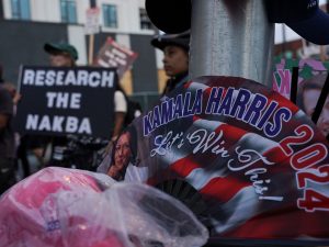 Can overseas coverage tip the US presidential election? | US Election 2024 Information