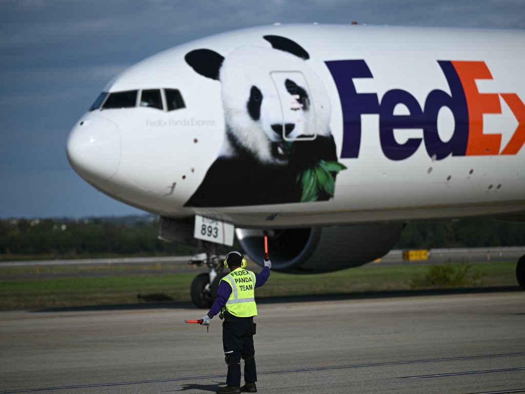 Pleasure as two new pandas arrive in US from China | Wildlife Information Pleasure as two new pandas arrive in US from China | Wildlife Information