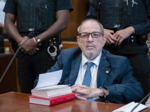 Harvey Weinstein recognized with bone marrow most cancers, experiences say | Sexual Assault Information