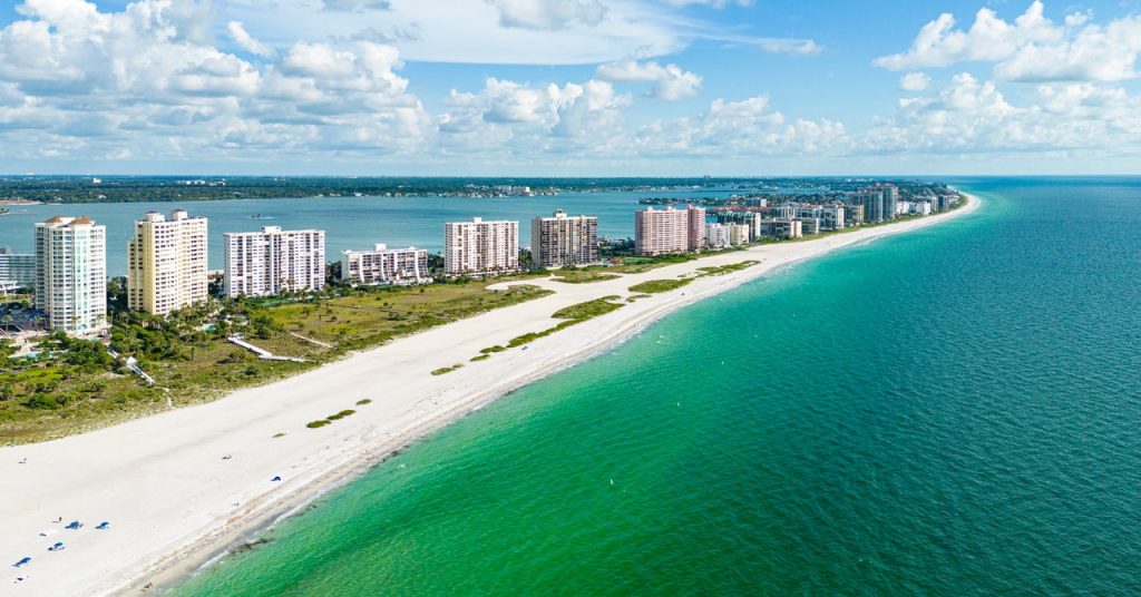 Darpa Thinks Partitions of Oysters Might Defend Shores Towards Hurricanes