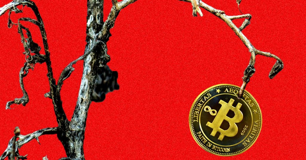 Within the Kentucky Mountains, a Bitcoin Mining Dream Turned Right into a Nightmare
