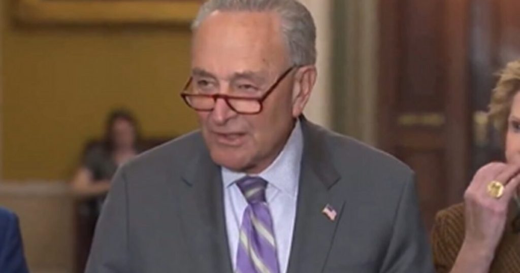 FLASHBACK: In 2009 Chuck Schumer Defended ‘Porky’ Authorities Spending, Saying ‘The American Individuals Actually Don’t Care’ (VIDEO) | The Gateway Pundit FLASHBACK: In 2009 Chuck Schumer Defended ‘Porky’ Authorities Spending, Saying ‘The American Individuals Actually Don’t Care’ (VIDEO) | The Gateway Pundit