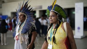 UN biodiversity summit opens in Colombia with requires motion, finance